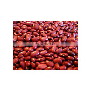 High Quality Red bean from Viet Nam with best price