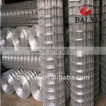 stainless steel welded wire netting(professional manufacturer)