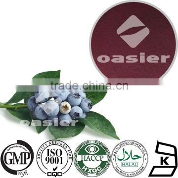 Natural Fruit flavor powder factory supply origin 1%-25% PAC Blueberry Fruit Extract powder