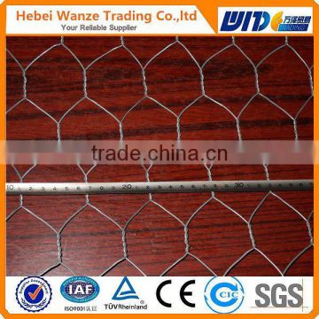 Chicken wire mesh Gal. Hexagonal wire mesh (manufacturer in anping)skype:shengxiang27@hotmail.com