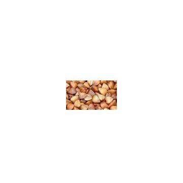 roasted buckwheat kernel