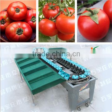 Vegetable weight sorting machine for tomato