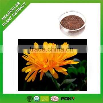Herbal Supplement New Products High Quality Marigold Extract
