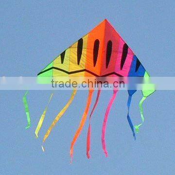 Rainbow kite