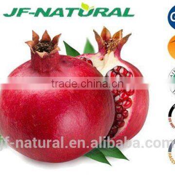 pomegranate extract manufacture in China Certificated with US GMP, KOSHER, HALAL, ISO, HACCP