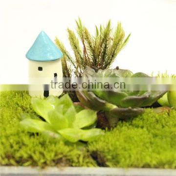 DIY accessories natural moss decorative green moss for micro landscape
