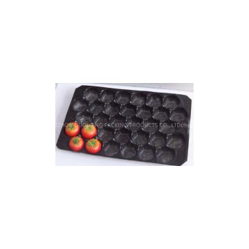 2014 Hot Selling Customized Eco-friendly PP Tomato Packing Disposable Plastic Container