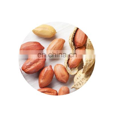 High grade raw red skin peanut seeds in bulk form china manufacturer wholesale price for export