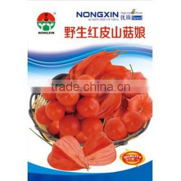 Chinese Physalis Pubescens Seeds Groundcherry Seeds For Growing-Red Peel