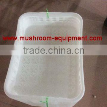 Most Welcomed plastic money tray Wholesale Plastic Basket For Mushroom Cultivation
