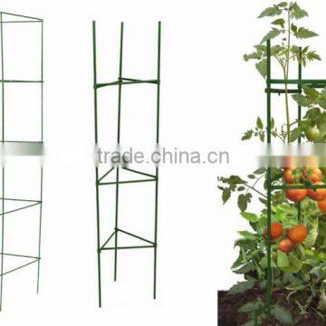 Triangular Tomato Cages Height 45-60 Inch Width 17-20 Inch