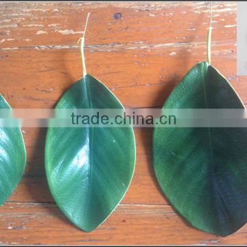 High quality artificial magnolia leaf