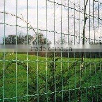 low-carbon stainless steel wire,pvc coated wire holland wire mesh fence/hebei tuosheng