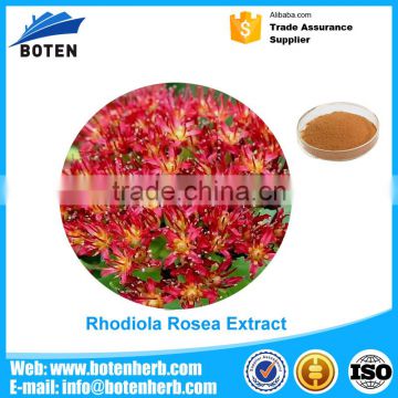 Factory Supplier Rhodiola rosea extract 3% 5% rosavins for wholesale