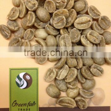 Arabica green coffee beans in Cau Dat Viet Nam