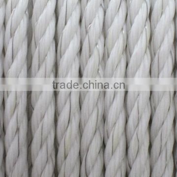fence polywire manufacture taian longqi