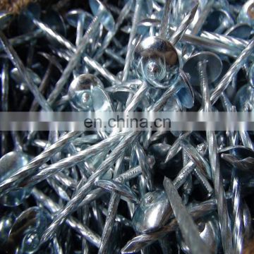 low price electric galvanized roofing nail