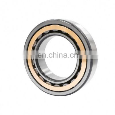 China Full Complement Cylindrical Roller Bearing SL04220PP Bearing