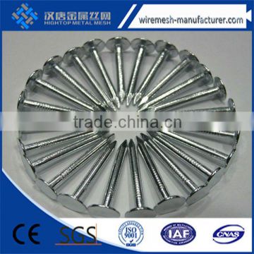 twisted roofing nail galvanised umbrella head nails for roofing sheet