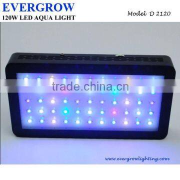 New D2120 Led Aquarium Light are Looking for Distributor