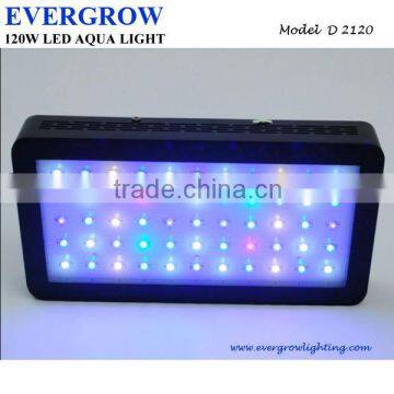 Evergrow Newest 15000k Dimmable Led Lamp for Aquarium Marine