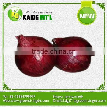China Fresh Onion Suppliers