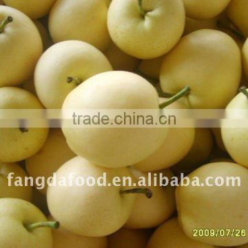 China freh super ya pear for sale