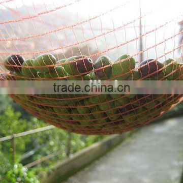 Chestnut collection net, 5 years UV treated olive /dates/palm plastic harvest nets