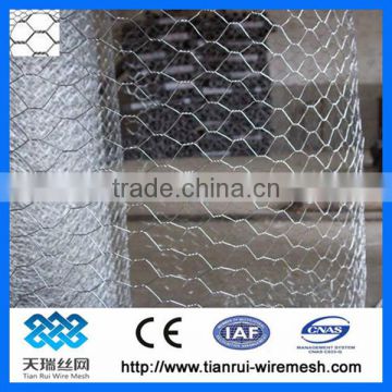 Chicken wire netting 3/4 inch (factory)