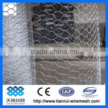 Chicken wire netting 3/4 inch (factory)