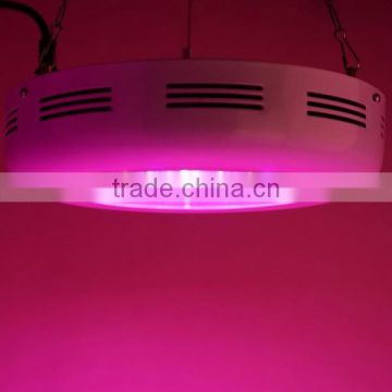 120w cheapest led growing light for horticulture shop