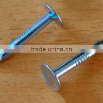 Galvanized Cupper Nails with Factory Price