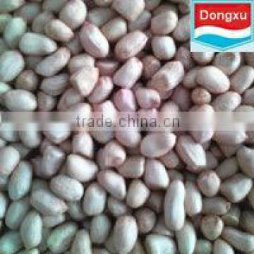 chinese peanut kernel