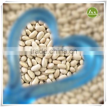 JSX Premium Quality White Kidney Beans Long Shape White Beans
