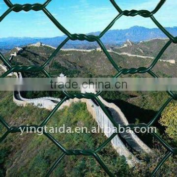pvc coated hexagonal wire mesh for chicken