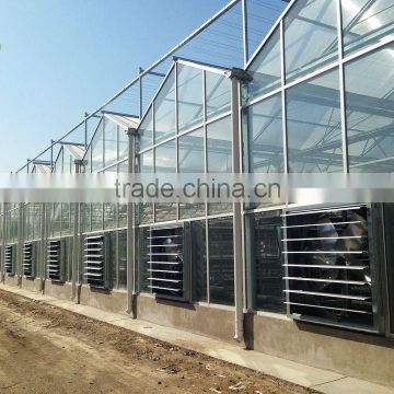 Agricultural Venlo Polycarbonate Greenhouse