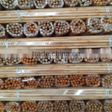 Brand new lacquered wood broom stick with high quality