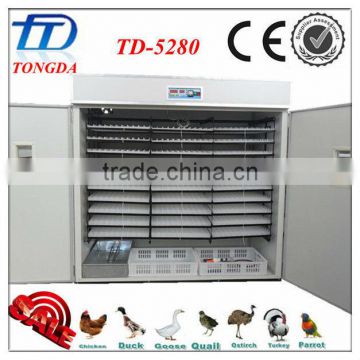 TD-5280 full automatic chocadeira for chicken farming