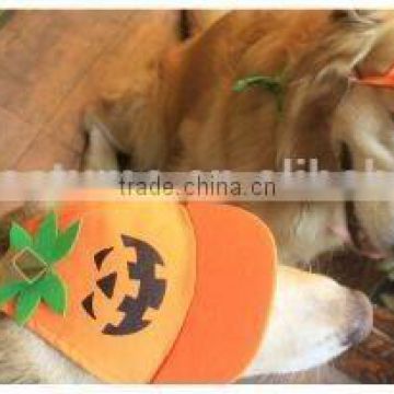 pumpkin base ball cap for dog , dog pumpkin base ball cap,pumpkin dog hat