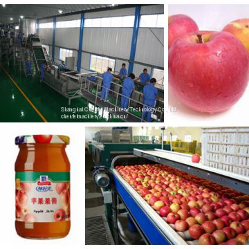 fruit jam and paste processing line