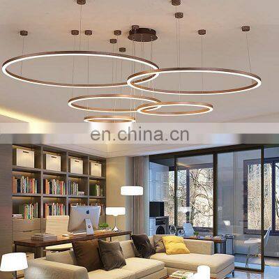 Nordic Circular Ring Chandelier Light For Home Hotel Modern Pendant LED Chandelier Light