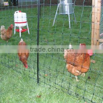 Strong UV stabilised Plastic chicken fence/plastic chicken netting/