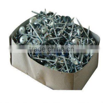 galvanized roofing nails(manufacturer)