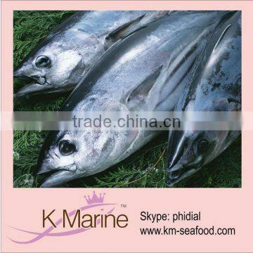 Whole Round Skipjack Tuna lot number#kmw4022