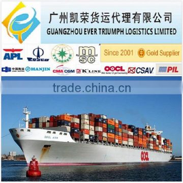 Door to door sea freight From China to USA DDU Shipping