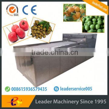 Leader automatic passion fruit juice extracting machine with website:leaderservice005