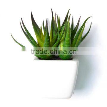 Modern Square white Ceramic Artificial Succulent Planter