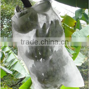 Grapes and banana are packaged by nonwoven fabric with high quality and low price