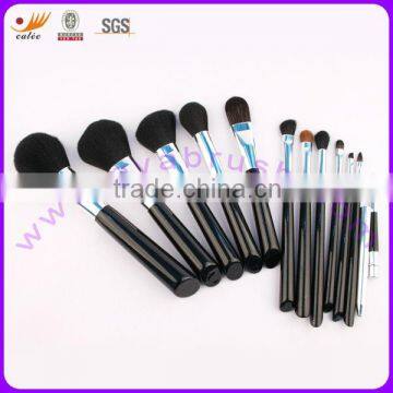 12 Piece Professional Cosmetic Brush Set