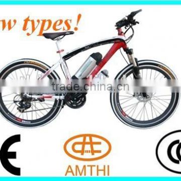China Manufacturer Hot Selling Lower Price Adult Electric Bicycle,Mini Electric Vehicle,Amthi